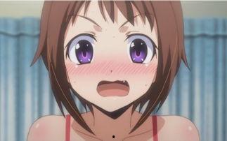 爆无修版在线观看,极致观影体验,尽在指尖 第1张 爆无修版在线观看,极致观影体验,尽在指尖 第1张